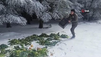 Yaban hayvanları için karların üzerine 750 kilogramlık yem bırakıldı