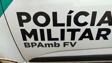 Polícia Ambiental resgata 11 aves e aplica multa de mais de R$ 15 mil em criadores de Goioerê