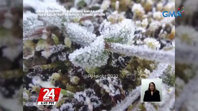 Andap, namerwisyo sa ilang pananim sa Benguet | 24 Oras
