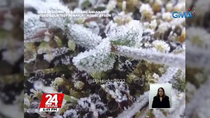 Andap, namerwisyo sa ilang pananim sa Benguet | 24 Oras
