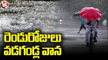 Dr Dharma Raju Face to Face About Rain Alert In Next 24 Hours _ V6 News