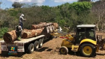 tn7-79-personas-fueron-denunciadas-por-inflingir-legislacion-ambiental-130122