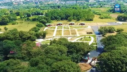 İstanbul’da bir ilk! "Bağımsızlık Köyü" umut olmaya devam ediyor