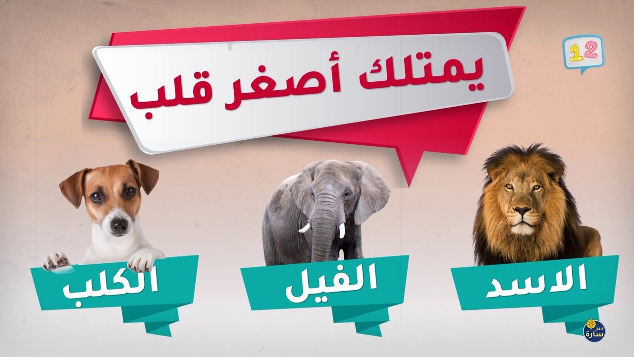 (12)  لغز مختلف اتحداك تحلها كلها؟!