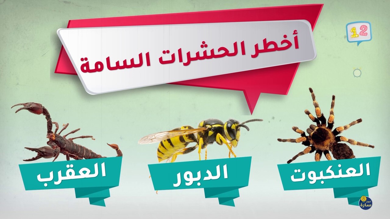 ألغاز سهلة جدا وممتعة ... أن استطعت حلها فأنت الأذكياء ... !!!