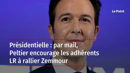 Présidentielle : par mail, Peltier encourage les adhérents LR à rallier Zemmour