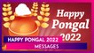 Pongal 2022 Wishes: Download Images With Thai Pongal Quotes, Greetings, Facebook Status and Messages