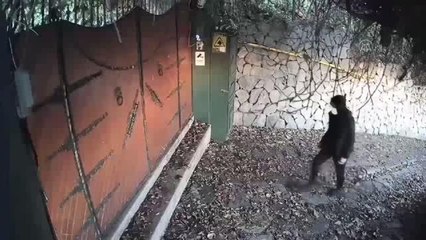 Evden ve iş yerinden hırsızlık yapan şüpheli tutuklandı