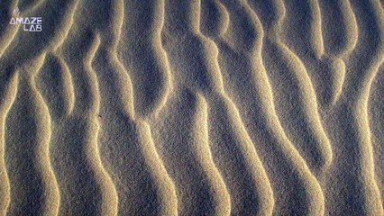 Scientists Find Universal Mathematical ‘Law’ Hidden in Sand Ripples