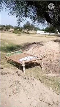 Natural beauty is the sum of a large number of parts. National Parks are beautiful because of the high quality landscapes they contain, the wildlife, the cultural heritage, their relative wildness and tranquillity. As the NCC advice recognises, they also