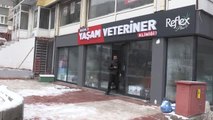 Yasaklı ırk köpeklere mikroçip takma uygulaması sürüyor