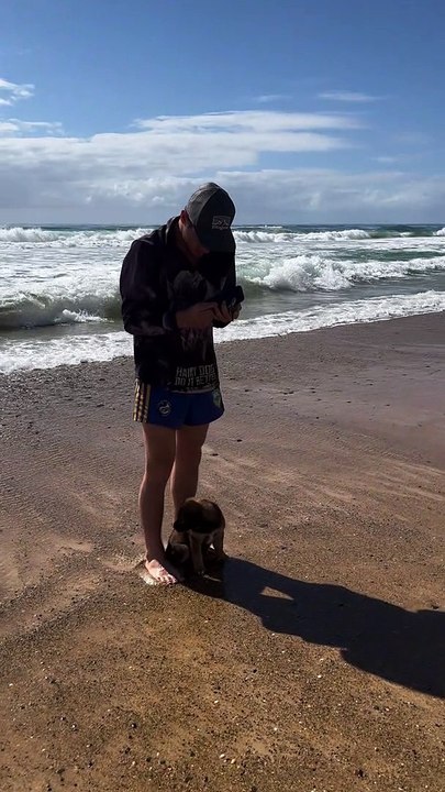 Posing Pup Gets Washed by Wave
