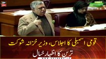 National Assembly session, Finance Minister Shaukat Tarin Speech