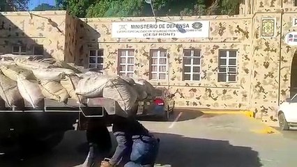 CESFronT decomisa 190 libras de marihuana en un camión en Dajabón