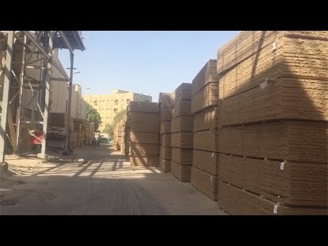 أكبر مصنع أخشاب فايبر بورد بالشرق الأوسط مهدد بالإغلاق