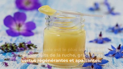 Quand et comment utiliser la gelée royale ?