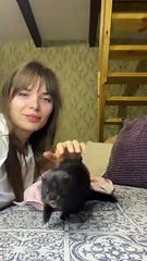Ferret Grabs Owner by the Nose