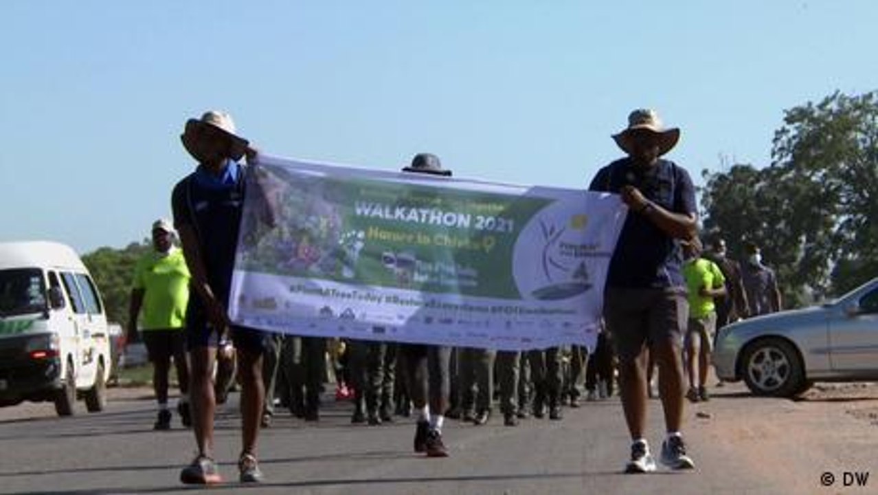 Zimbabwe: Walkathon for forest