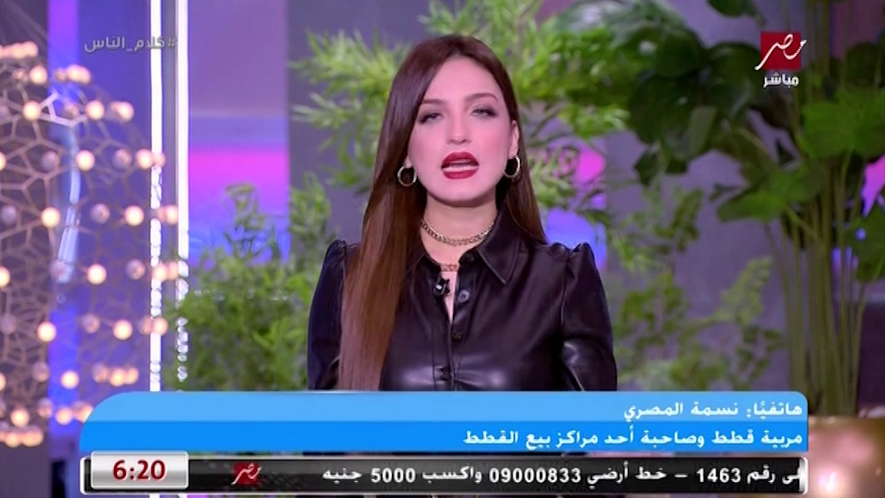 مربية قطط وصاحبة أحد مراكز بيع القطط: قطة ياسمين عبد العزيز يتراوح سعرها من 50 إلى 150 ألف جنيه