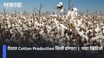 देशात Cotton Production किती होणार? | Cotton Production In India | पाहा व्हिडिओ