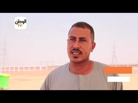 الأكبر في العالم معلومات عن محطة بنبان للطاقة الشمسية