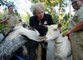 Animal Sanctuary Names Baby Donkey After Betty White to Honor Her Years of Support