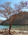 أجمل 5 وجهات سياحية في سلطنة عمان