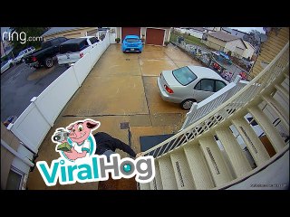 Man Falls Down Flight of Slippery Stairs