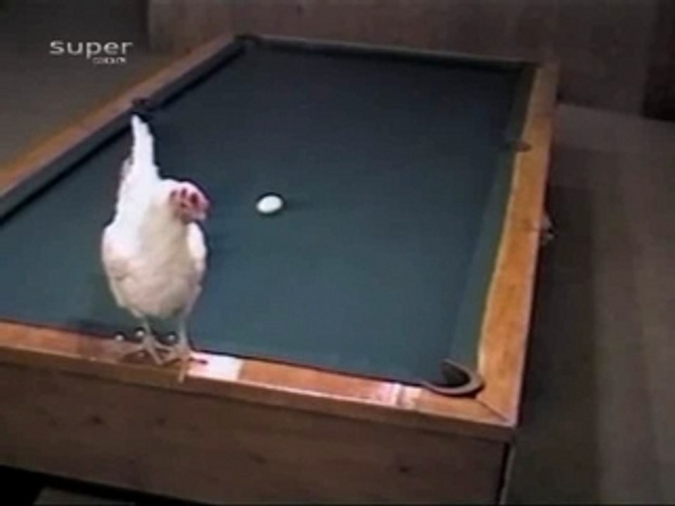 Billiard chiken