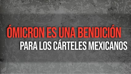 Ómicron es una bendición para los cárteles mexicanos