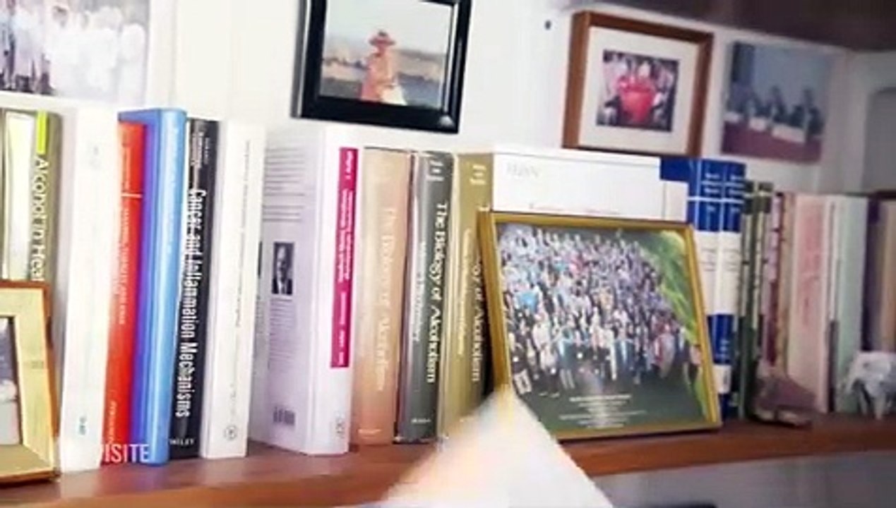 Alkoholverzicht So schnell erholen sich die Organe