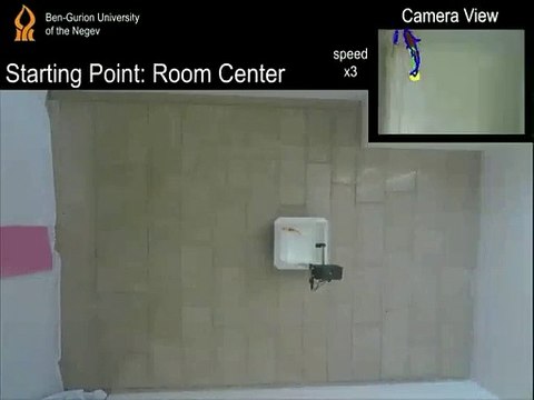 Funcionamiento de un Vehículo Operado por Peces (FOV, por sus siglas en inglés)