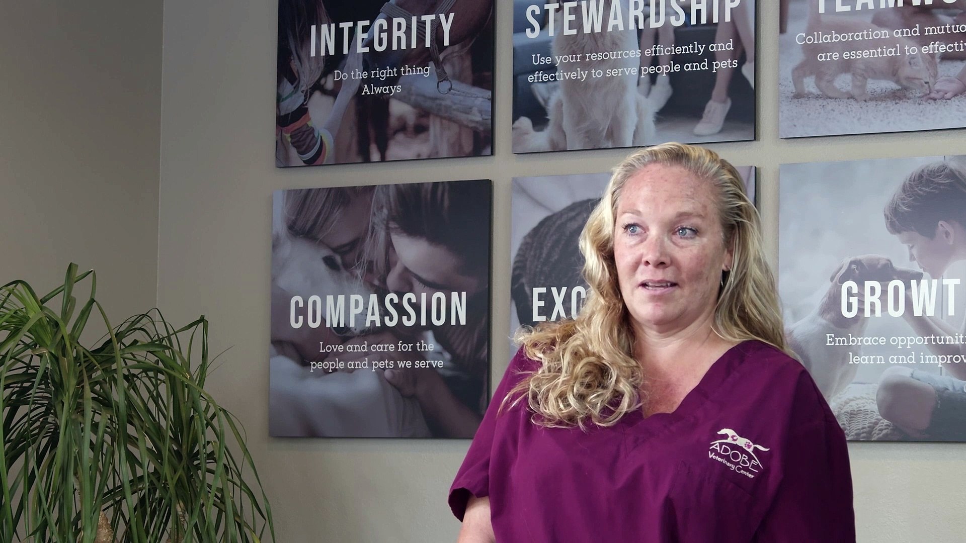 ⁣Large Animal Veterinary Care | Sequence 01 | Adobe Veterinary Center