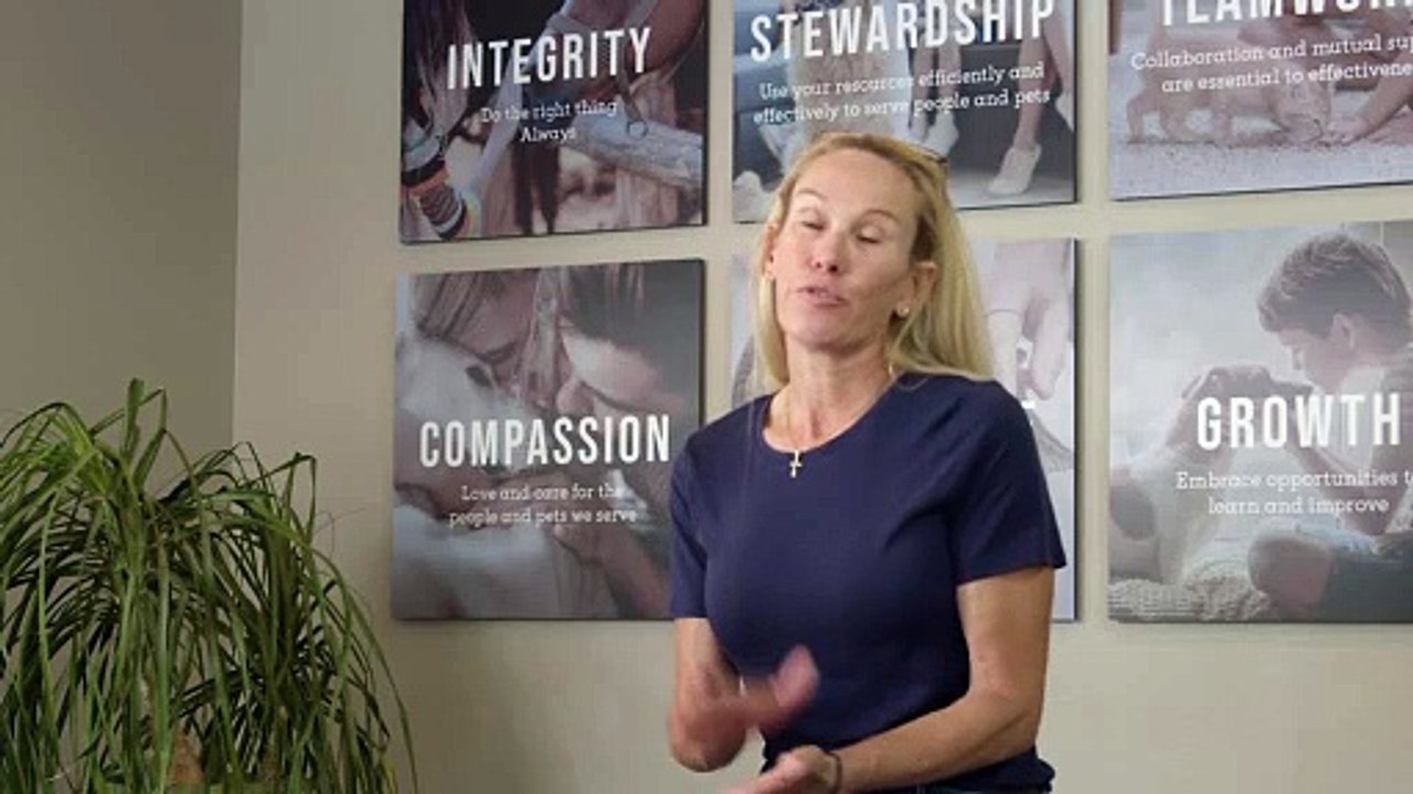 Adobe Veterinary Center Equine Testimonial | Sequence 02
