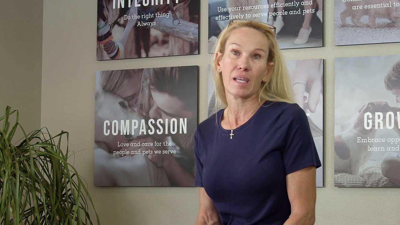Adobe Veterinary Center Equine Testimonial | Sequence 03