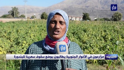 مزارعون في الأغوار الجنوبية يطالبون بوضع سقوف سعرية للبندورة