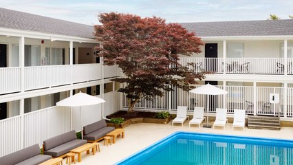 The New Golden Age of the Motor Lodge