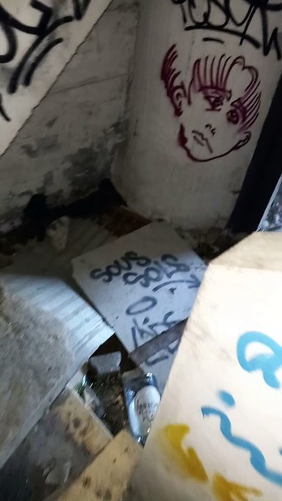 Fort de La Bastille  Grenoble 2022  #France (27)