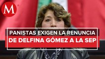 Senador del PAN exige renuncia de Delfina Gómez tras resolución del TEPJF
