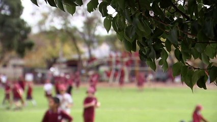The South Australian government has revealed more details  about its back to school plan