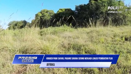 Petualangan Keindahan Alam Sabana Afrika