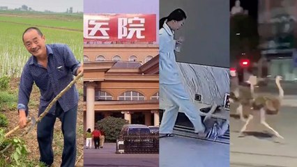 Trending in China: quick-thinking mother catches falling baby with her foot