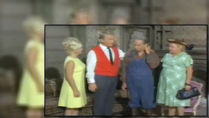 Green Acres S03E02 - Love Comes To Arnold Ziffel