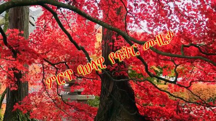 bast classical music1