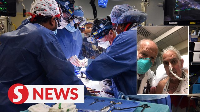 'Miracle’: Son hails pig-heart transplant for dad
