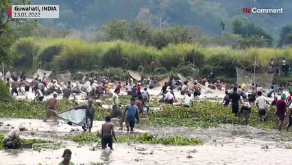 بدون تعليق: صيد جماعي في الهند خلال مهرجان الحصاد بهوجالي بيهو