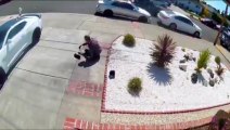 Black teens cackling and laughing as they push down, rob and humiliate an 80 yr old Asian grandpa in Bay Area
