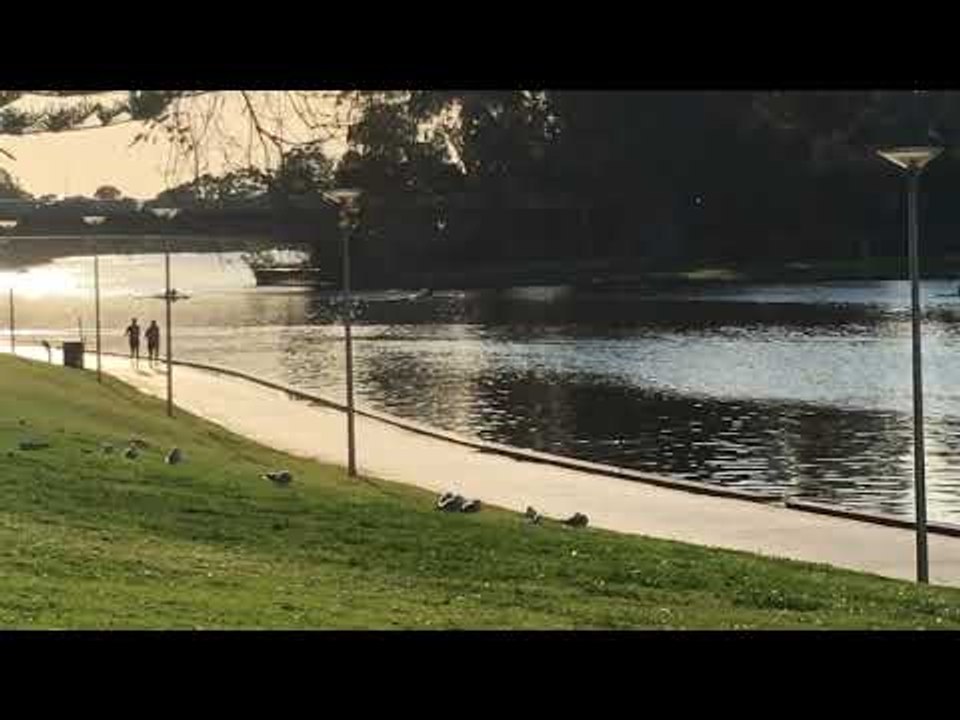Adelaide River