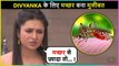 Divyanka Tripathi की Life में मच्छर ने मचाया हंगामा, हो गयीं Troll / A mosquito created a ruckus in Divyanka Tripathi's life