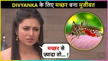 Divyanka Tripathi की Life में मच्छर ने मचाया हंगामा, हो गयीं Troll / A mosquito created a ruckus in Divyanka Tripathi's life